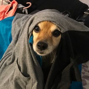 Meet your Posher, Kay